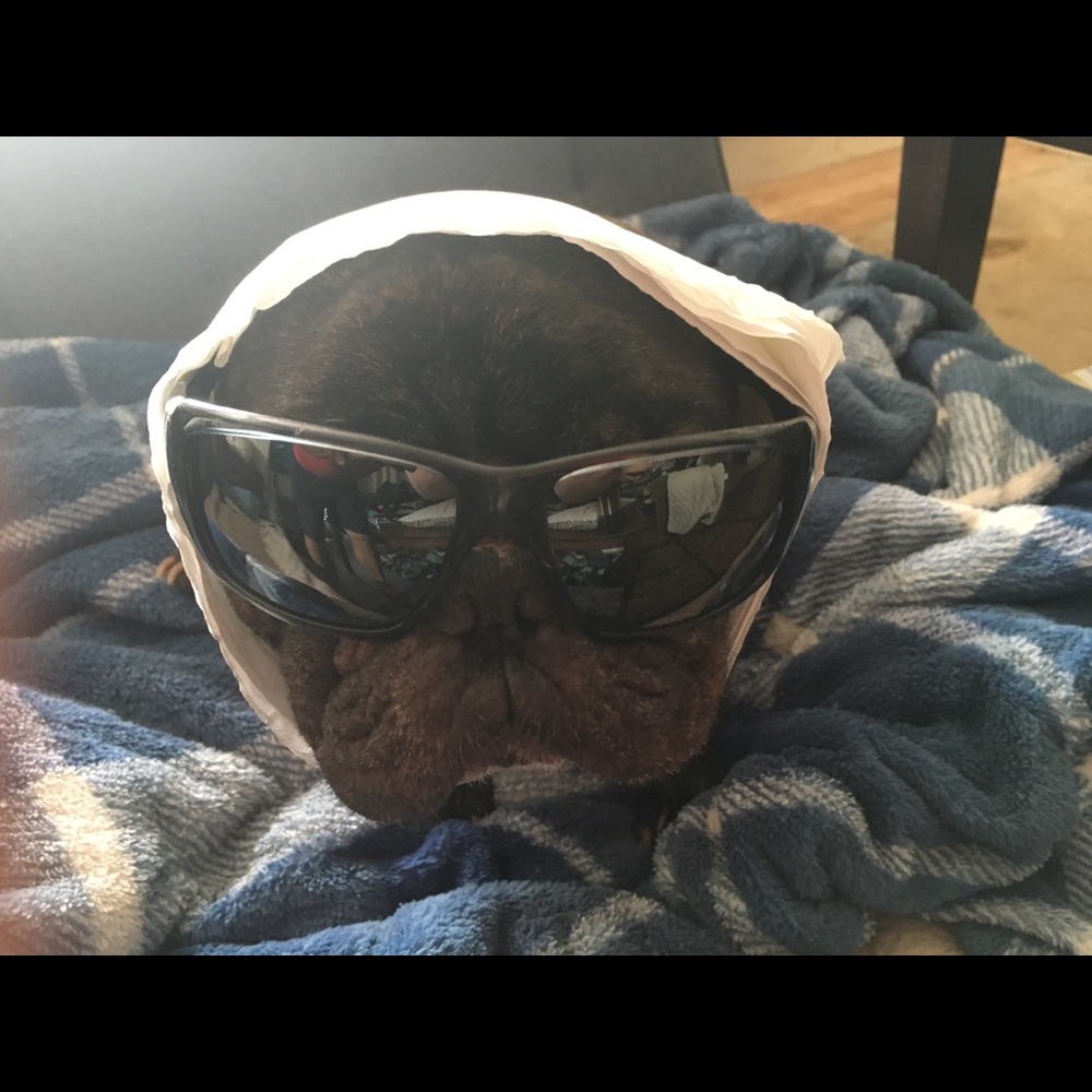 Meet your Posher, Walter